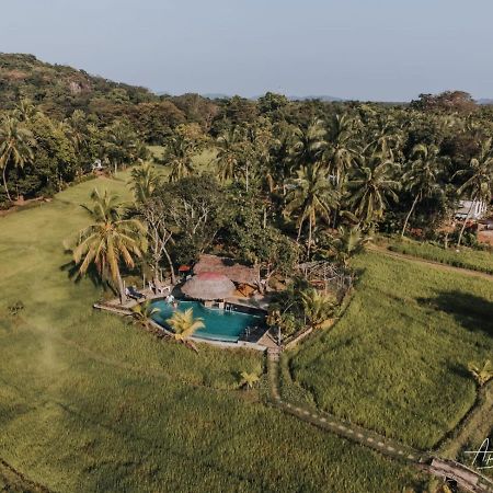Nelu Resort Szigirija Kültér fotó