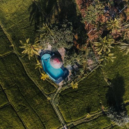 Nelu Resort Szigirija Kültér fotó
