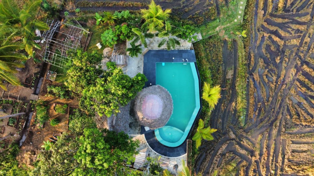 Nelu Resort Szigirija Kültér fotó