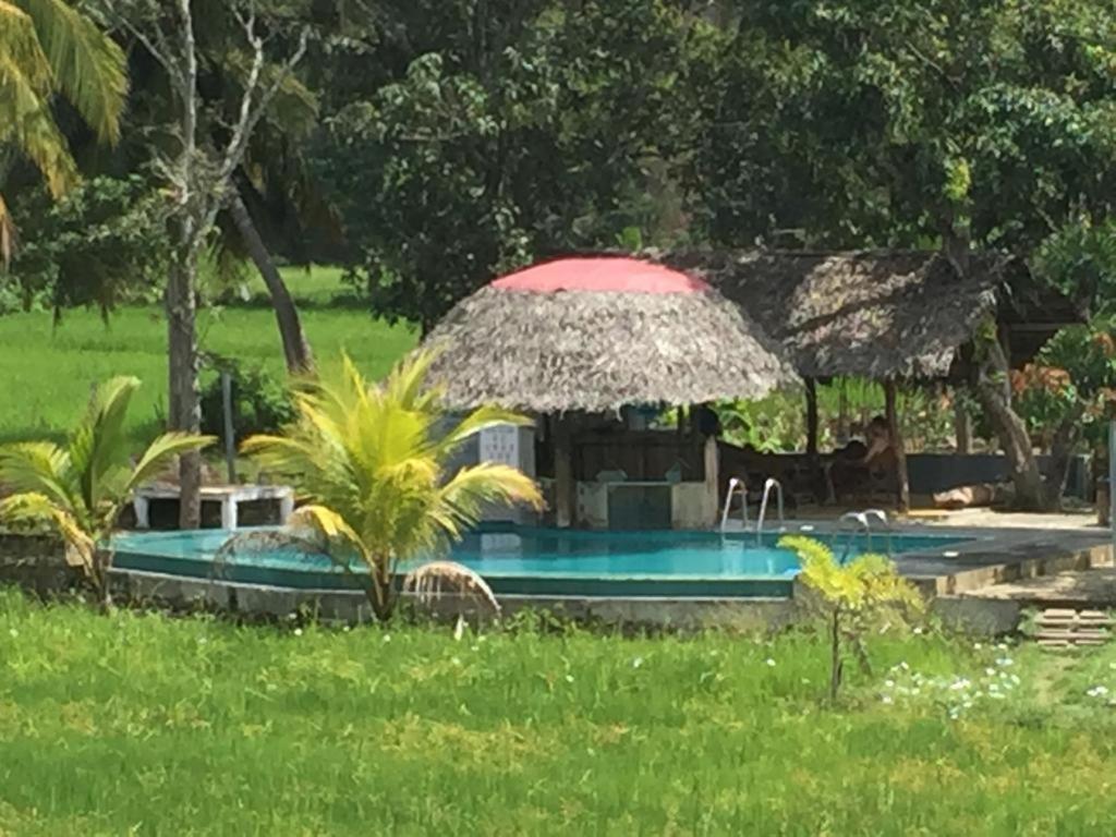 Nelu Resort Szigirija Kültér fotó