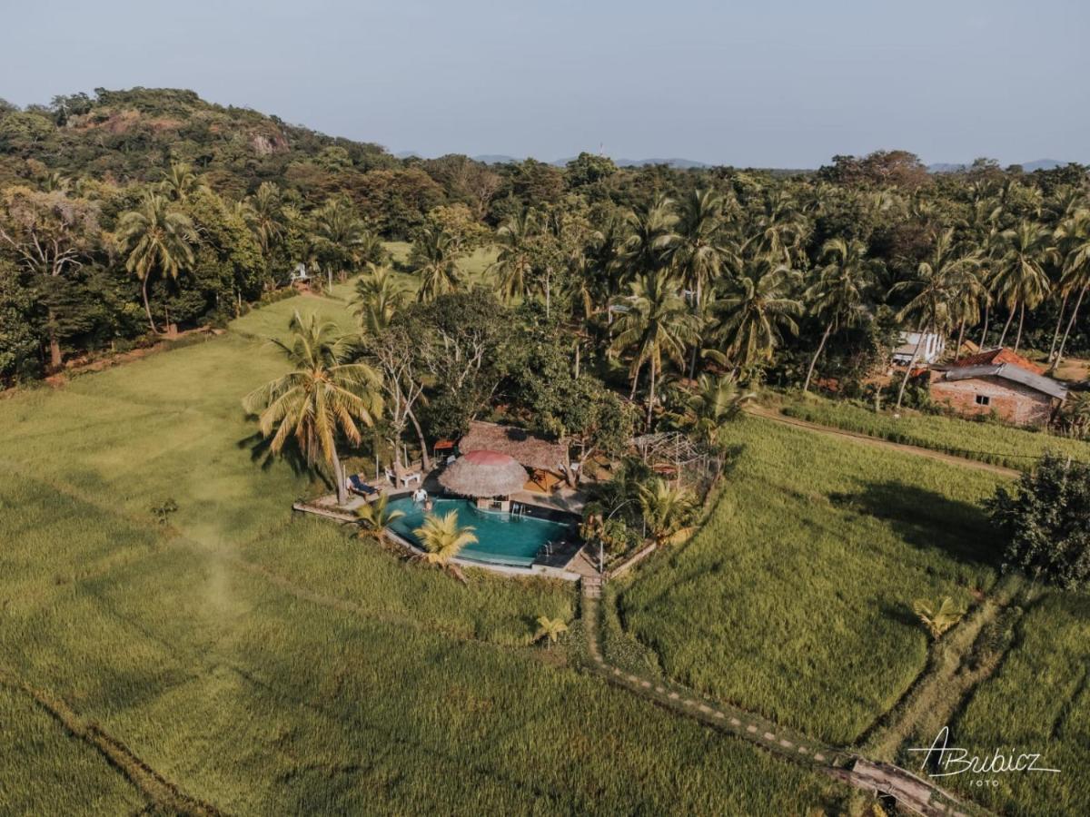 Nelu Resort Szigirija Kültér fotó