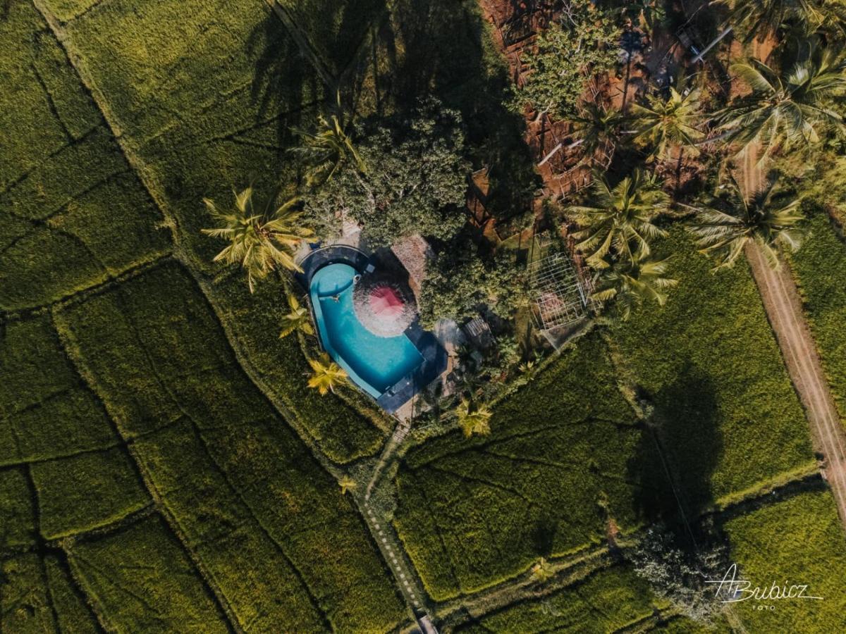 Nelu Resort Szigirija Kültér fotó