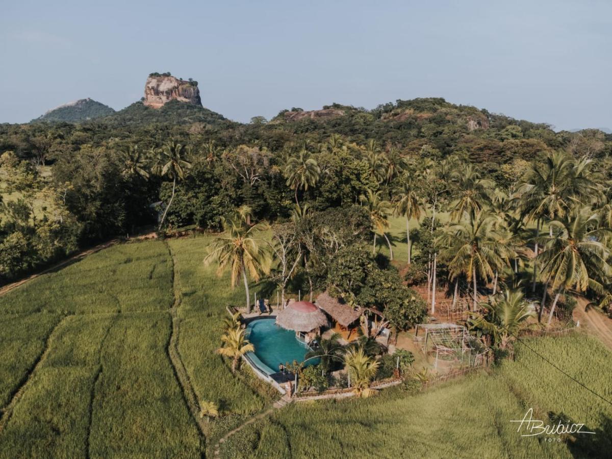 Nelu Resort Szigirija Kültér fotó